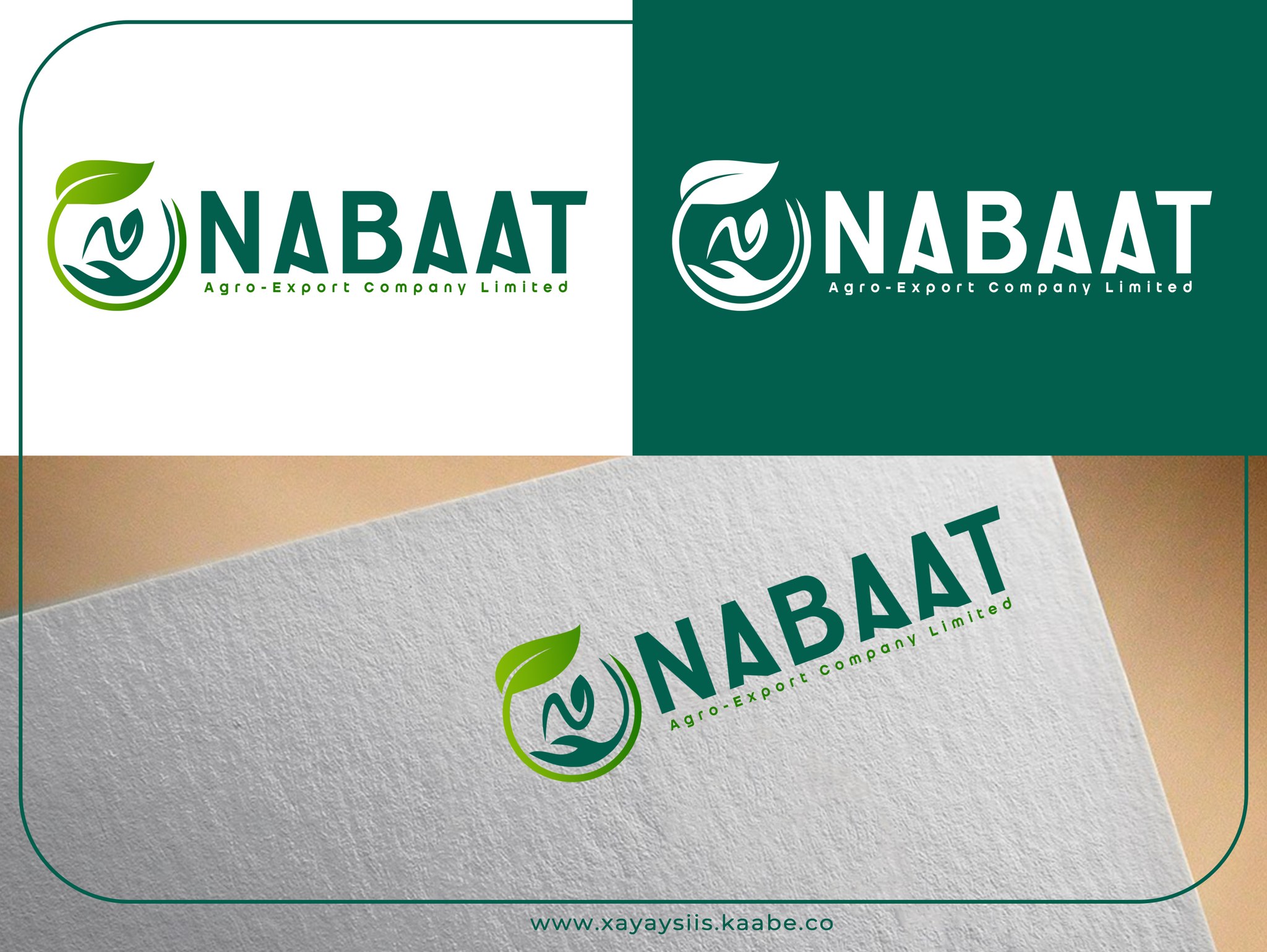 Brand Identity Design